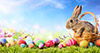 © Romolo Tavani/Fotolia.com © Romolo Tavani/Fotolia.com