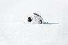 AdobeStock © M.Dörr & M.Frommherz #295271179 AdobeStock © M.Dörr & M.Frommherz #295271179