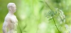 AdobeStock © E. Zacherl #158981060 AdobeStock © E. Zacherl #158981060